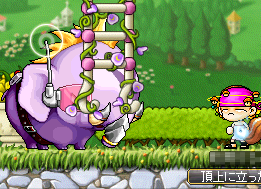 パープルエレファント…だっけ?