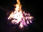 2f26b336.jpg