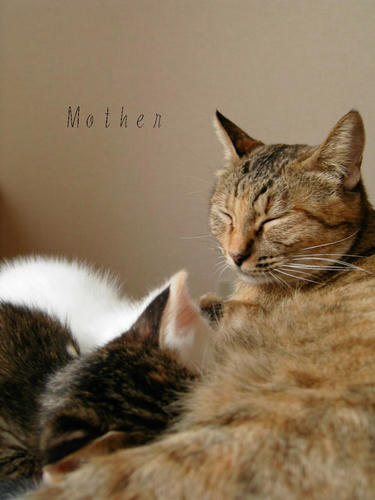 mama