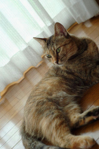 marysia4kg.jpg