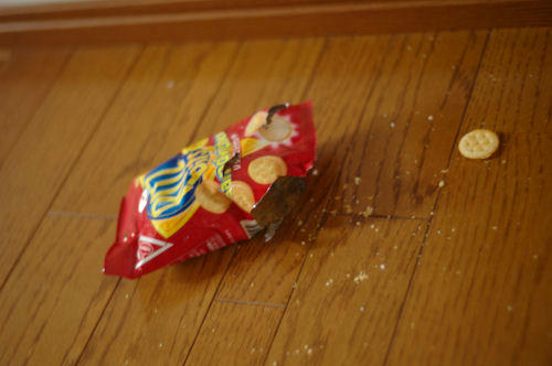 ritz.jpg