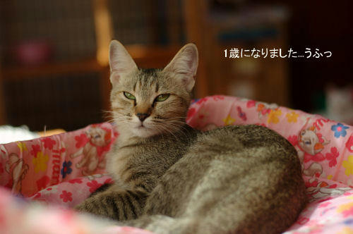 02c7a3ffjpeg