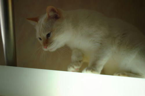 1128a.jpg