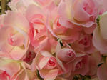 7b6f51a3.JPG
