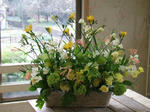 DSCF1179.JPG