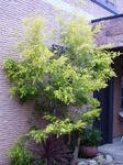 PB270248.JPG