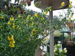 DSCF1233.JPG
