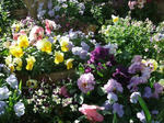 DSCF1265.JPG