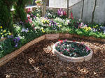 DSCF1272.JPG