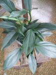 d3677fc6.JPG