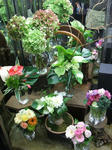 DSCF1308.JPG