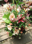 DSCF1481.JPG