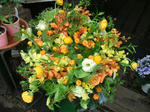DSCF1496.JPG
