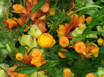 DSCF1497.JPG