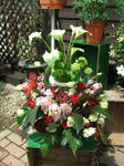 DSCF1557.JPG