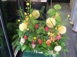 DSCF1571.JPG