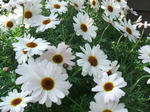 DSCF1582.JPG