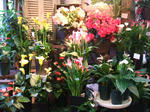 DSCF1591.JPG