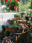 DSCF1592.JPG