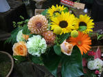 DSCF1600.JPG