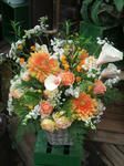 DSCF1682.JPG