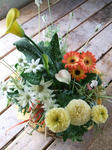 DSCF1657.JPG