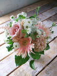 DSCF1674.JPG