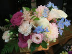 DSCF1640.JPG