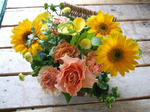 DSCF1651.JPG