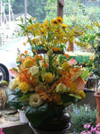 DSCF1722.JPG