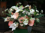 DSCF1724.JPG