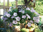 DSCF1757.JPG