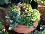 DSCF1752.JPG