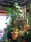 DSCF1745.JPG