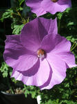 DSCF1774.JPG