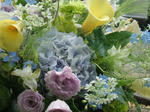 DSCF1795.JPG