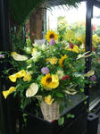 DSCF1811.JPG