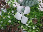 DSCF1802.JPG