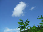 DSCF1881.JPG