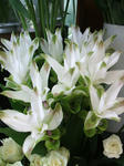 DSCF1911.JPG