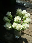 DSCF1912.JPG