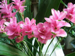 DSCF1913.JPG