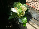 DSCF1916.JPG