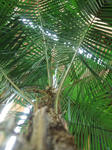DSCF1957.JPG