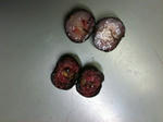 aronia2__.jpg
