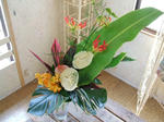 DSCF2035.JPG