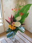 DSCF2038.JPG