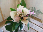 DSCF2043.JPG