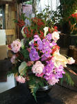 DSCF2050.JPG
