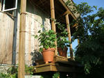 DSCF2052.JPG
